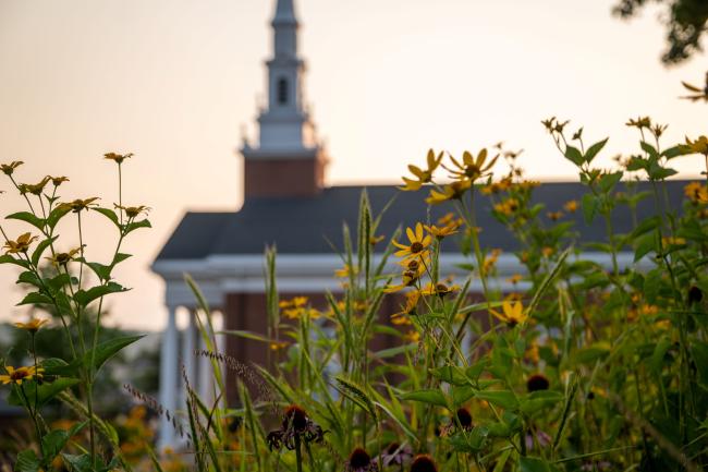 Roberts Chapel with wildflowers in the foreground